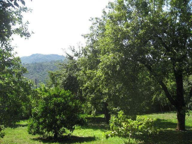 Country house Casa De Carcavelos Cabeceiras de Basto